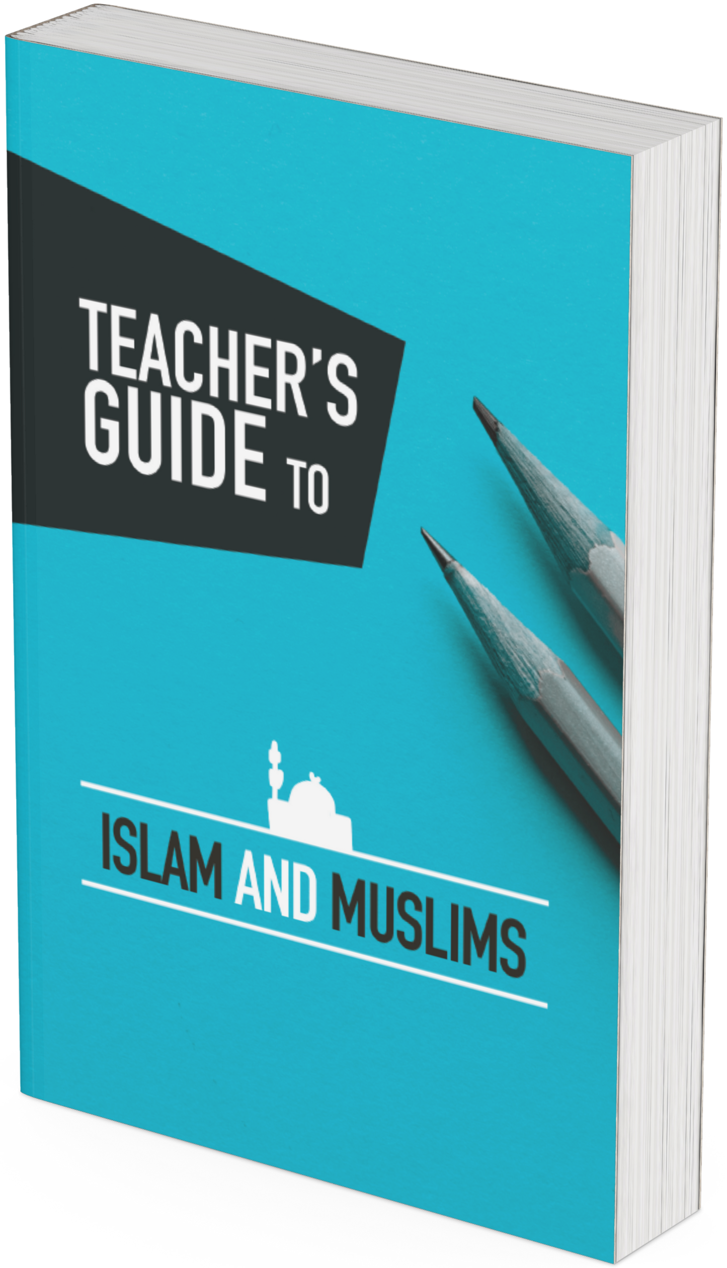 Public School Teacher's Guide