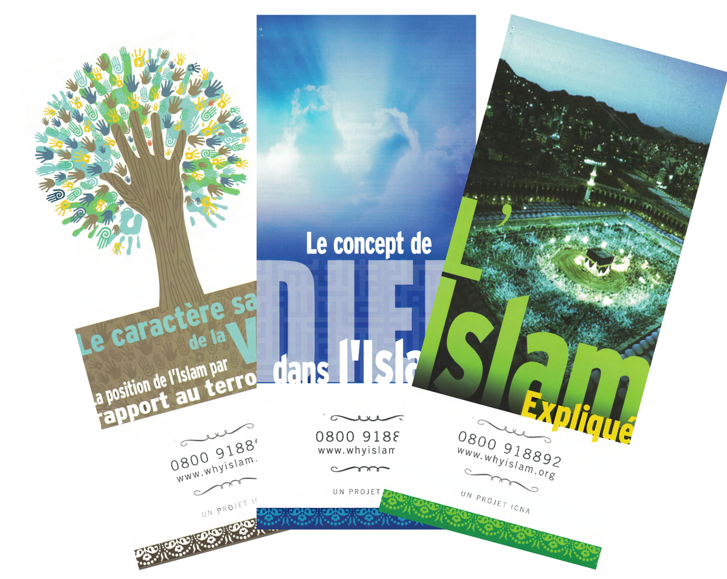 All French Brochures