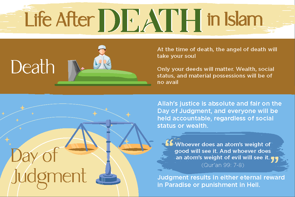 Life After Death Postcard
