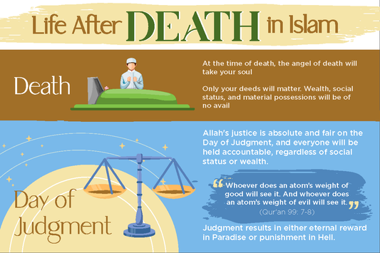 Life After Death Postcard