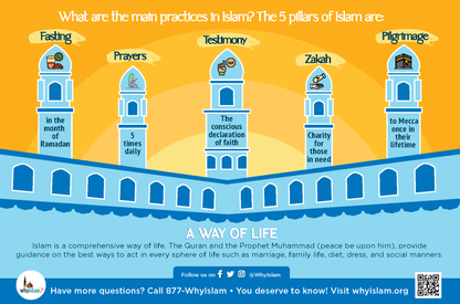 Islam Explained Postcard
