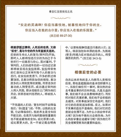 Life After Death ( CHINESE ) ( 死后的生活 )