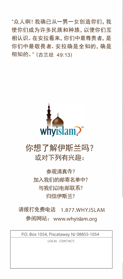 What does Islam say about Terrorism? ( CHINESE ) ( 伊斯兰教对恐怖主义怎么说？)