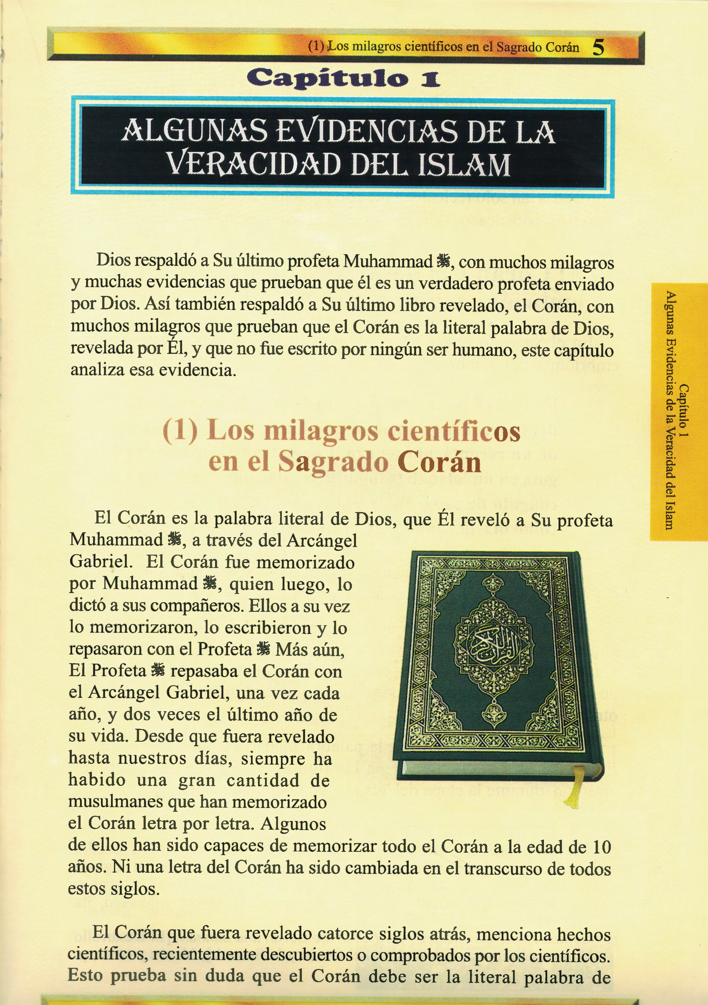 Una Brece Guia Ilustrada Para Entender El Islam